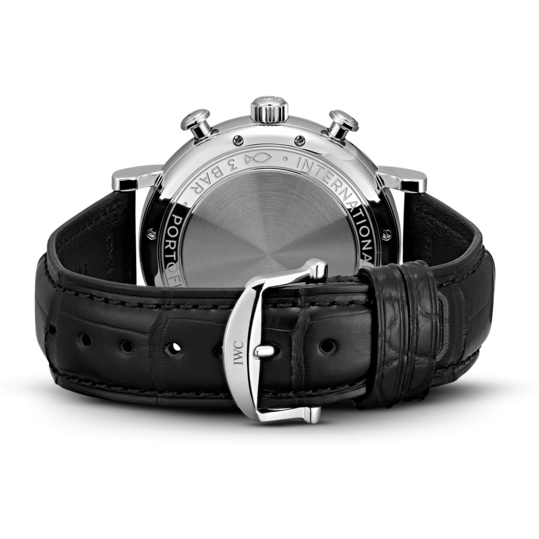 Portofino Chronograph IW391031